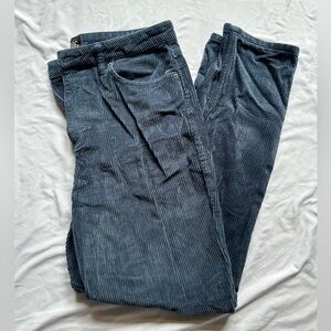 Urban Outerfitters BDG Corduroy Blue Pants